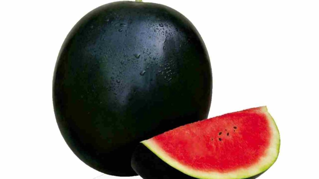 Fruits name in English,Sugar Baby Watermelon
