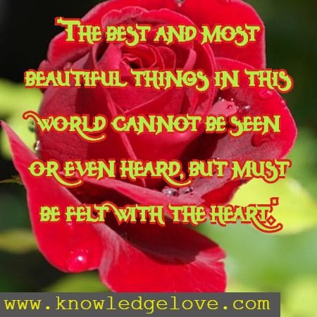 Inspirational Quotes on Love