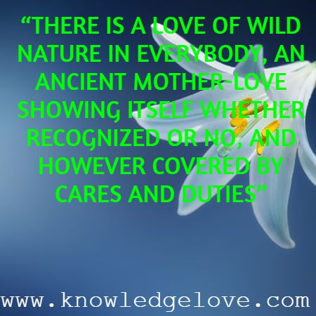 Inspirational Quotes on Nature Love