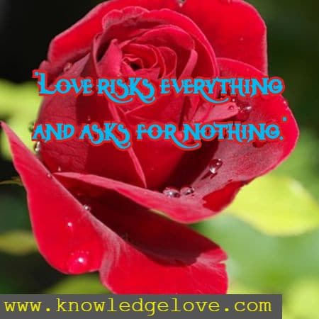 wise inspirational quotes on love