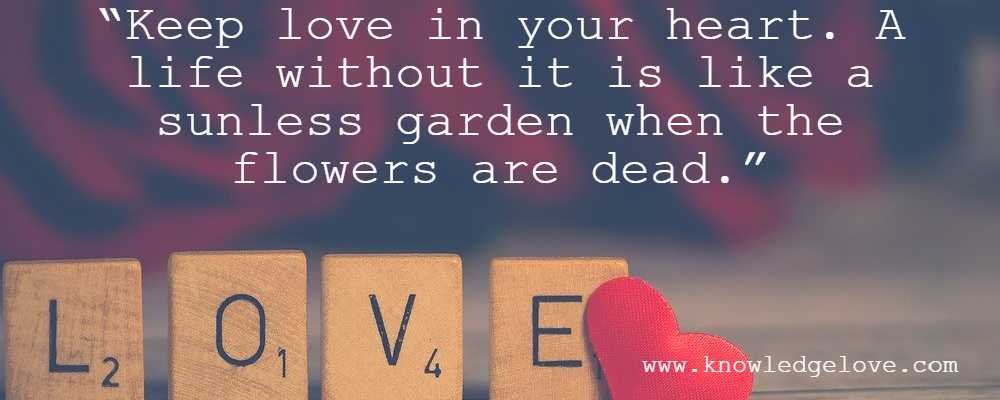 Quotes on Beautiful Love