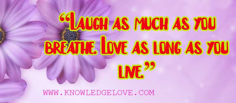 Love Quotes Rumi