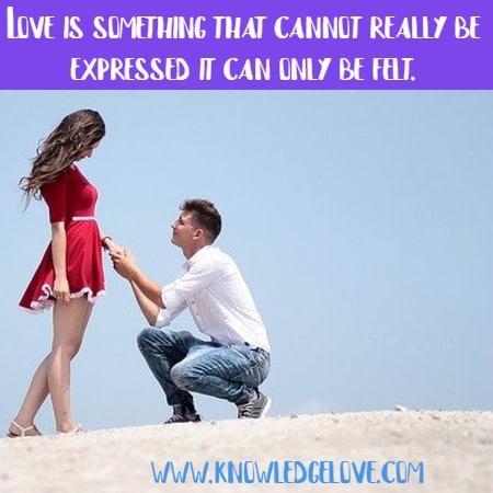 Love for Life Quotes