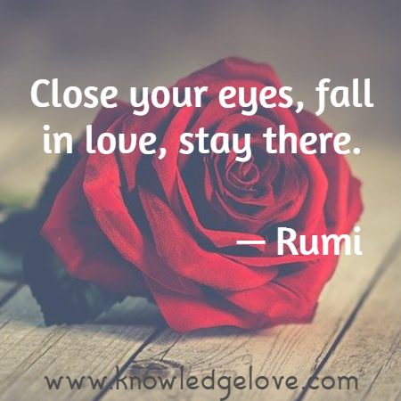 Close your eyes, fall in love, stay there.