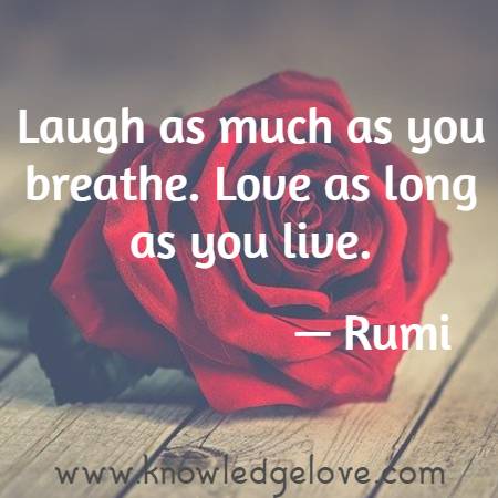 Laugh as much as you breathe. Love as long as you live.