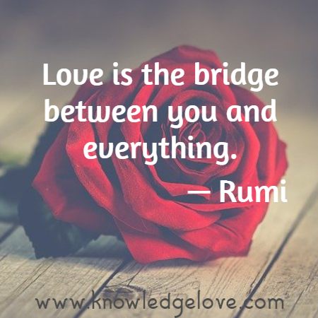 Love is the bridge between you and everything.