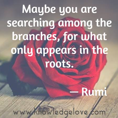 Maybe you are searching among the branches, for what only appears in the roots.