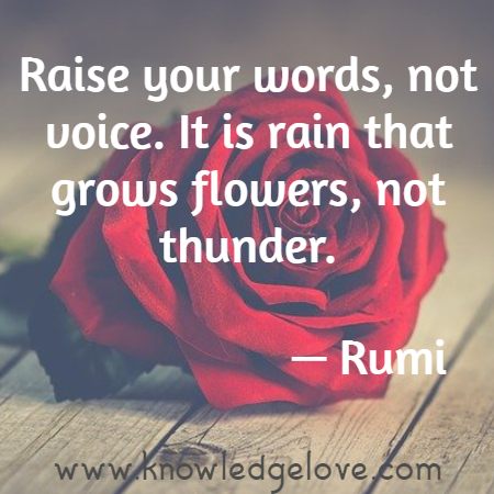 Raise your words, not voice. It is rain that grows flowers, not thunder.