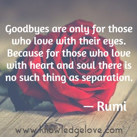 Rumi Quotes on Lovers