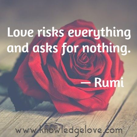 26+ Rumi Love Quotes Gif