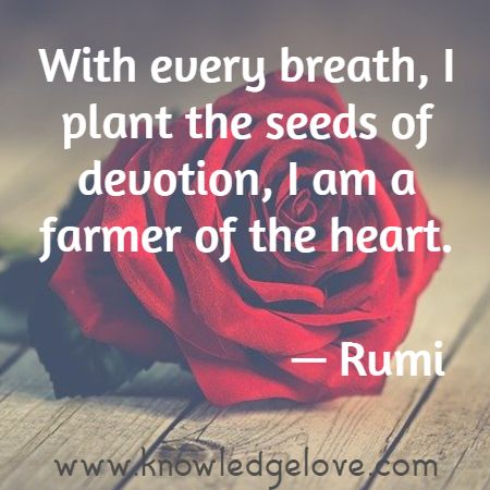 With every breath, I plant the seeds of devotion, I am a farmer of the heart.