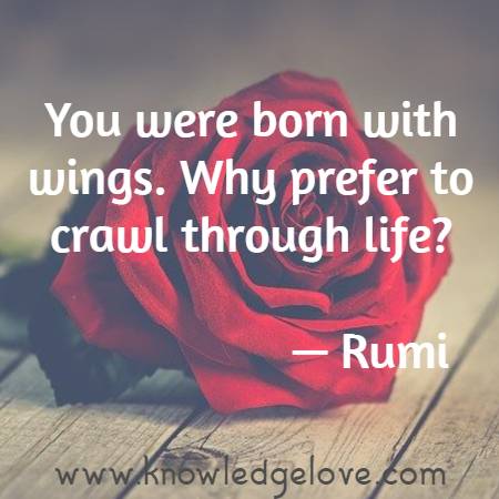 You were born with wings. Why prefer to crawl through life