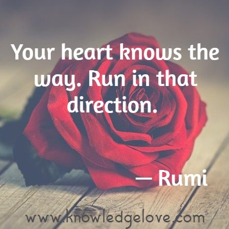 Your heart knows the way. Run in that direction. 