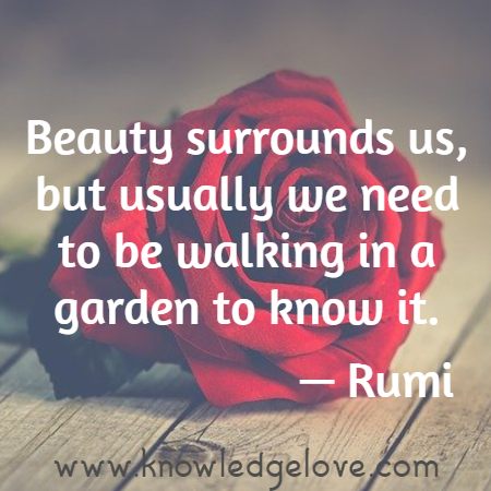 Beauty surrounds us, but usually we need to be walking in a garden to know it.