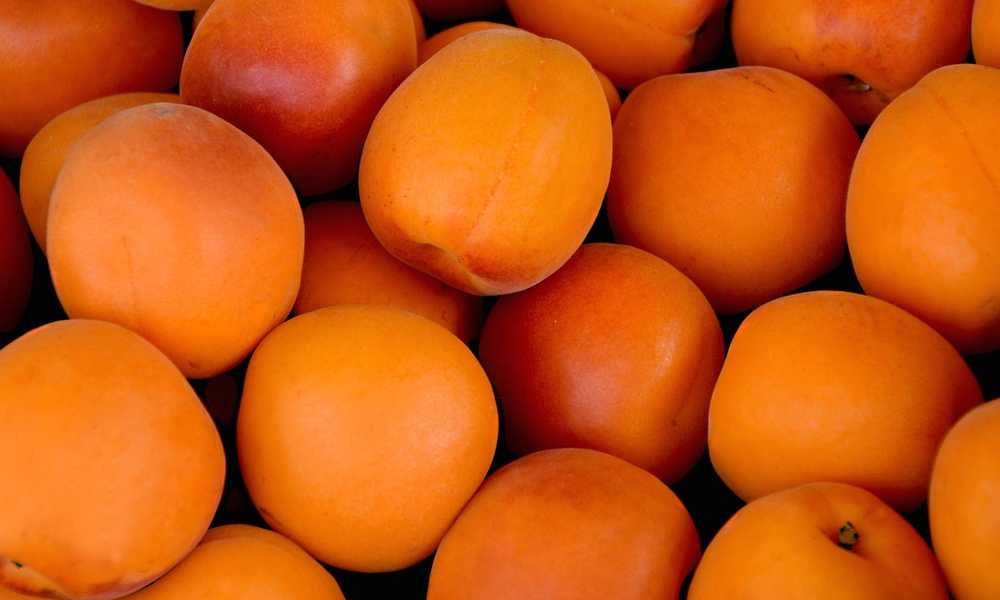 Fruits name in hindi : खुबानी ( Khubani ) - Apricots - ( अप्रिकोट्स )