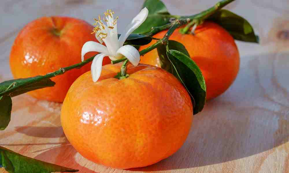 Fruits Name in Hindi and English Tangerine : Keenoo 