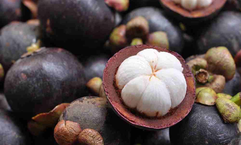 Fruits Name is Hindi and English : Mangosteen Fruit