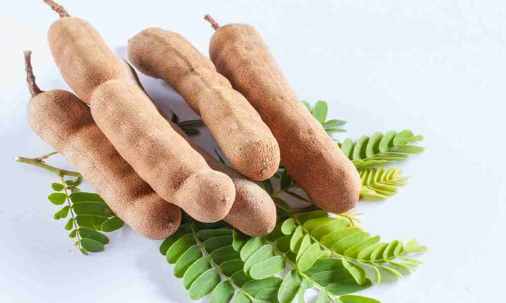 Tamarind Fruits