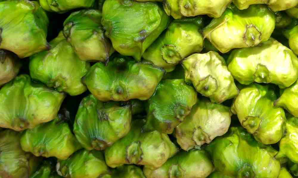 Water Chestnut : Singhada / Pani Singhada ( सिंघाड़ा / पानी सिंघाड़ा ).