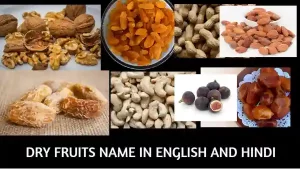 dry fruits name in English and Hindi