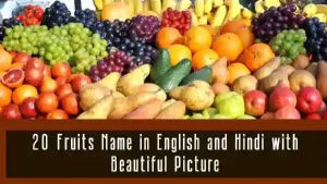 20 Fruits Name in English and Hindi with Beautiful Picture
