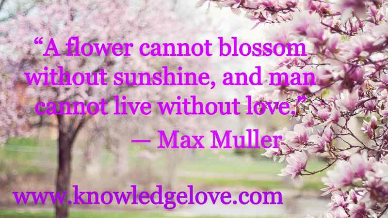 A flower cannot blossom without sunshine, and man cannot live without love