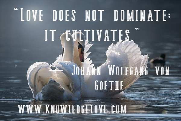 Love does not dominate; it cultivates