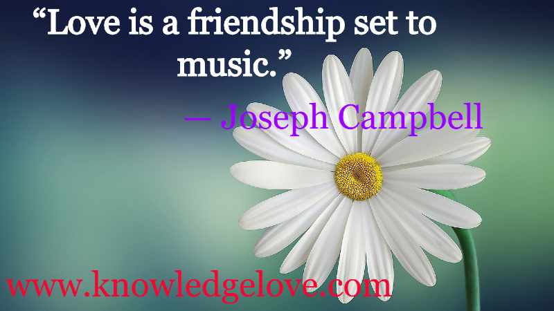 Love is a friendship set to music