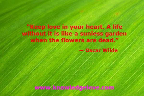 Keep love in your heart. A life without it is like a sunless garden when the flowers are dead