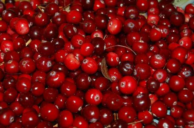Cranberry Meaning in Hindi