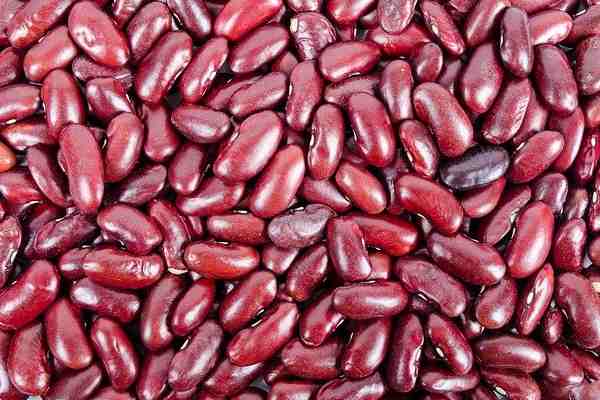 Kidney bean meaning in hindi