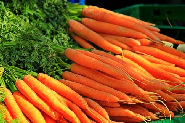 Five Vegetables Name - Carrot