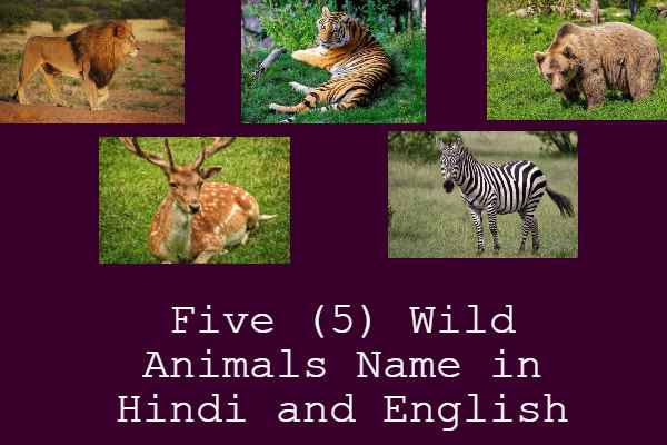 Five (5) Wild Animals Name in Hindi and English