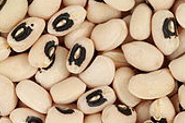 Pulses Name - Cowpea - लोबिया
