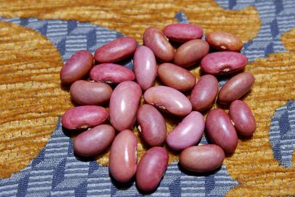 Pink bean - पिंक बीन