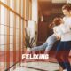 felixing