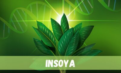 insoya