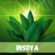 insoya