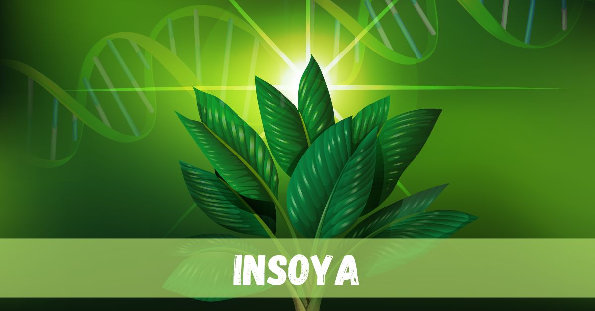 insoya